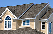 Professional Roof Services