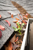 seasonal roof maintenance